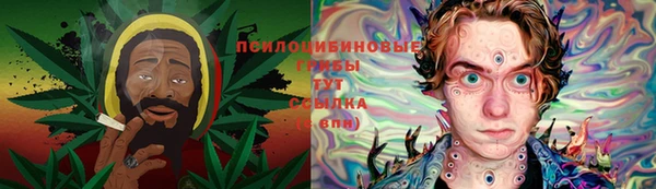 бутират Арсеньев