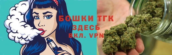 ГАЛЛЮЦИНОГЕННЫЕ ГРИБЫ Аркадак