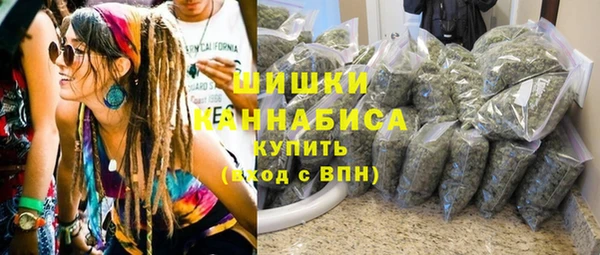 ГАЛЛЮЦИНОГЕННЫЕ ГРИБЫ Аркадак