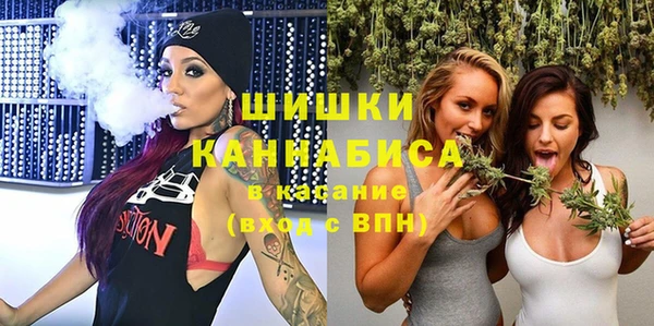 ГАЛЛЮЦИНОГЕННЫЕ ГРИБЫ Аркадак