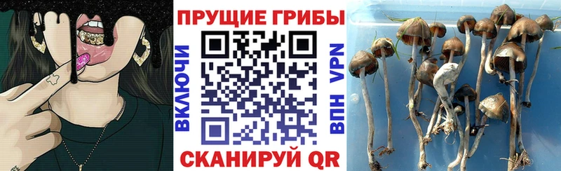 мега рабочий сайт  Первомайск  Галлюциногенные грибы прущие грибы 